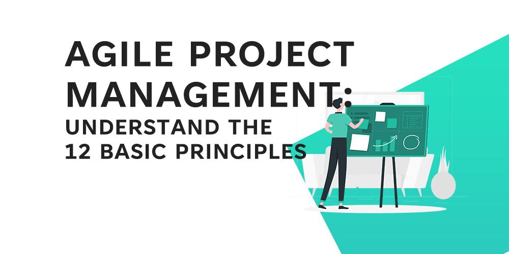 Agile Development -The 12 Basic Principles - Feature Image - LearnLeanSigma