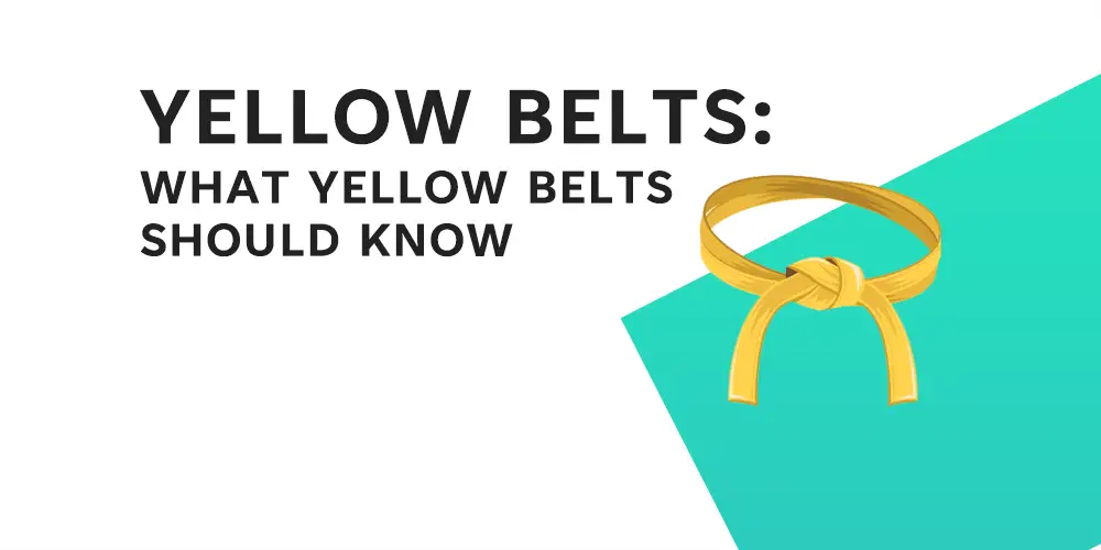Yellow Belt - What they should know - Feature Image