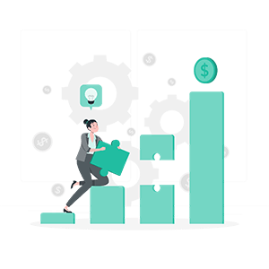 the problem solving mechanism Solution